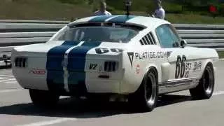 Ford Mustang Race Car Pure V8 Sound