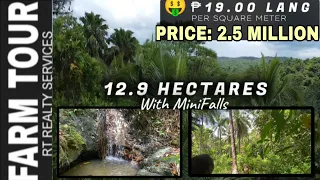 #114 | #available | 12.9 Hectares | 🤑₱19.00 Lang Per Sqm. | Puno Ng Tanim May Mini Falls | Titled