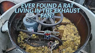 EVER FOUND A RAT LIVING IN AN EXHAUST FAN ?