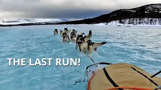 The Last Run! 7 Days of Extreme Dog Sledding | Tough Winter Challenge