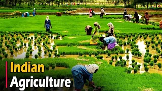 AGRICULTURE IN INDIA - Documentary