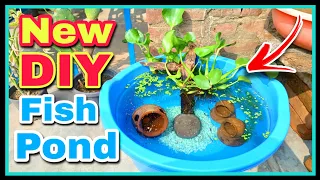 Finally मैंने नया देसी DIY Fish Pond बना लिया || How to make small NATURAL POND at Home