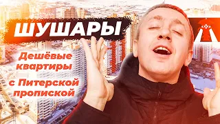 Дешевые квартиры в Санкт-Петербурге. Стоит ли покупать жилье в Шушарах?