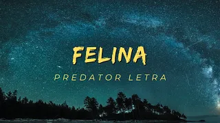 Hector Y Tito - Felina (Visualizer)