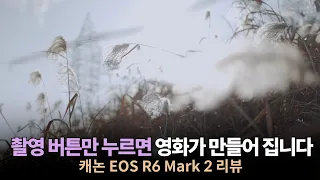 결국 캐논으로 돌아오는 이유 | EOS R6 Mark 2 리뷰