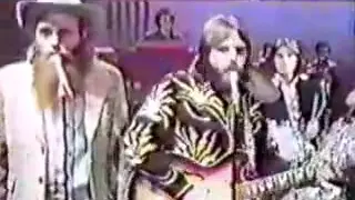 The Beach Boys  - Would'nt it be nice (live)