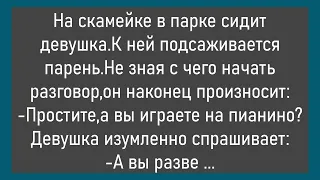 🔥Встречаются Два Кота...Большой Сборник Смешных Анекдотов,Для Супер Настроения!