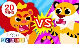 Lions vs. Tigers | Baby Animal Songs for Children | Kids Songs and Nursery Rhymes by Little Angel