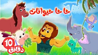 حا حا حيوانات و أغاني أطفال منوعة - بيبي بو | Baby boo