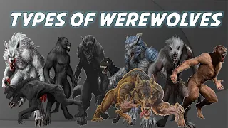 Werewolves :Types and Classes Explained (Re-Uploaded)