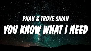 PNAU & Troye Sivan - You Know What I Need (Lyrics)