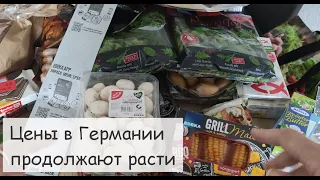 Большая закупка продуктов в Германии. Цены СНОВА выросли! Где и как купить вкусное молоко ДЁШЕВО.