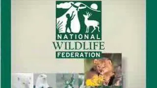 NWF's Conservation Efforts