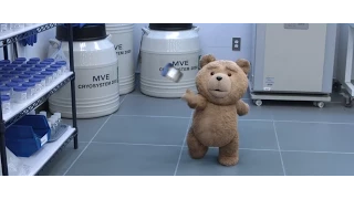 Третій зайвий 2 (Ted 2) 2015. Офіційний український трейлер [HD]