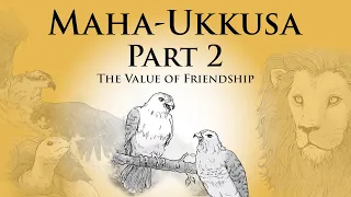 The Value of Friendship | Mahā Ukkusa Jataka (Part 2) | Animated Buddhist Stories