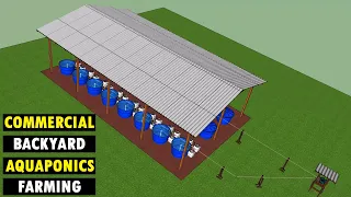 Commercial Backyard Aquaponics Farming Fresh Fish and Vegetables | Aquaponic System