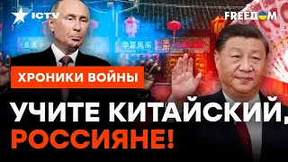 РФ - ПОДОПЫТНАЯ КРЫСА Китая: что скрывает Си Цзиньпин