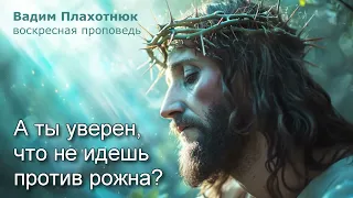 Вадим Плахотнюк: А ты уверен что не идешь против рожна