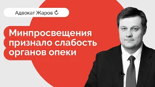 Минпросвещения признало слабость органов опеки. Как заполнить отчет опекуна?