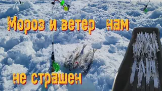 Ловля корюшки на Енисее. Мороз и ветер нам нипочем