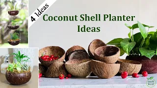 Best & Creative Coconut Shell Gardening Ideas for Home-DIY Coconut Shell Planter Ideas//GREEN DECOR