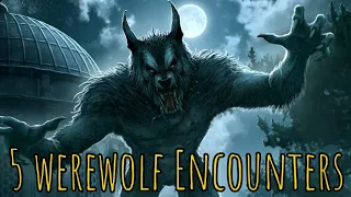 5 werewolf encounters