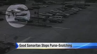 Video shows Good Samaritan stop purse-snatching