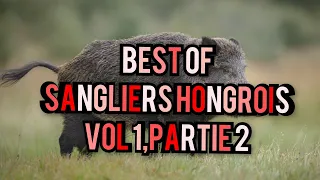 Best Of,🐗Sangliers Hongrois🐗 Vol 6,7,8,9,10 (Partie 2 et fin)