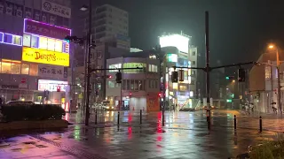 ASMR Japan Downpour Thunder Rain Walk 2020.07.22 Ambient Sound Sleep Meditate Relax Tokyo Suburb Zen