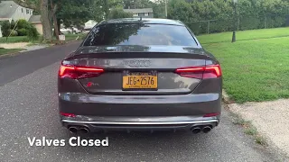 2018 Audi S5 Startup & Revs/Exhaust Sound - Stock!!