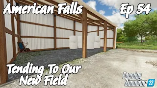 American Falls | Tending To Our New Field | Episode 54 | Farming Simulator 22