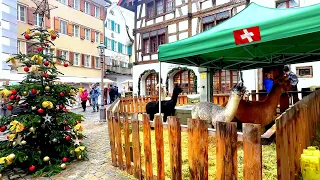 The most traditional village Christmas market | Traditional handicrafts | Cute animals 🎄🎁🎅