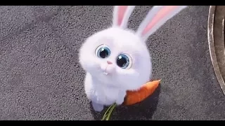Ржач))) Кролик и морковка