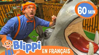 Blippi à la découverte des animaux | Blippi en français | Vidéos éducatives pour enfants