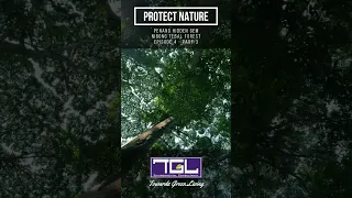 Protect Nature - Malaysia - Penang Hidden Gem - Nibong Tebal Forest - Ep4 - Part 3
