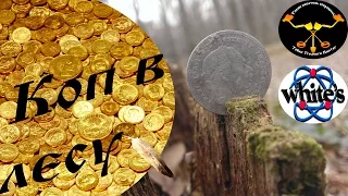 Коп с Whites Spectra V3i . Серебрянная монета Metal detecting Whites Spectra V3i. Silver coin