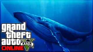 GTA 5 RARE Hump Back Whale Location! GTA 5 Sea Animals - Hump Back Whale GTA 5 PS4 Gameplay