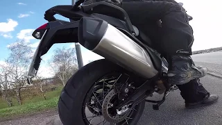 Triumph Tiger 900 | Exhaust Sound with standard muffler