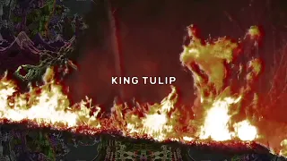 $UICIDEBOY$ - King Tulip (Slowed Lyric Video)