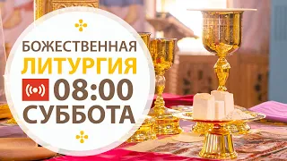 Трансляция. Литургия. 08:00 (суббота) 26 декабря 2020.