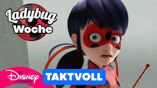 Er weiß, wer sie ist! | Miraculous 🐞🐱