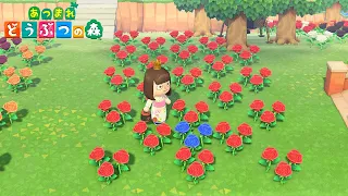 【Animal Crossing New Horizons】Flower Breeding Guide - How To Breed Hybrids【ACNH】
