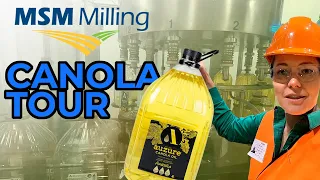 HOW CANOLA OIL IS MADE | Tour of MSM Milling in Manildra NSW. Canola Mill Process