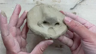 Emotion- Sculpting A Nose