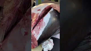 Ronqueo de atún