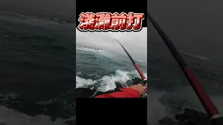 東北角の淺灘前打 #shorts #磯釣り #前打 #釣魚