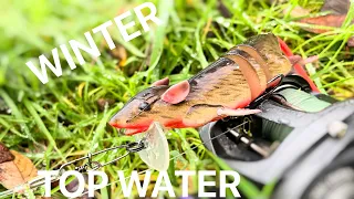 Can I Catch on a Topwater Lure in Winter?! (savage gear rat lure)