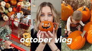 a very COZY October day ☕🍂 baking, pumpkin patch, Trader Joes fall haul, & a warm chili dinner