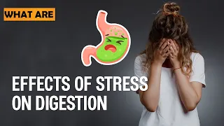 Effects of Stress on Digestion