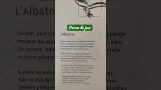 Poème du jour: L’Albatros (Charles Baudelaire)